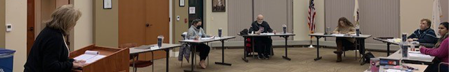 Mental Health Board Members participating in discussion at a meeting