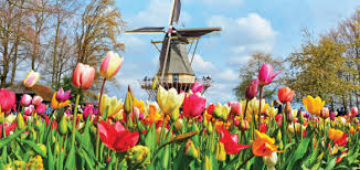 Holland and Belgium in Bloom